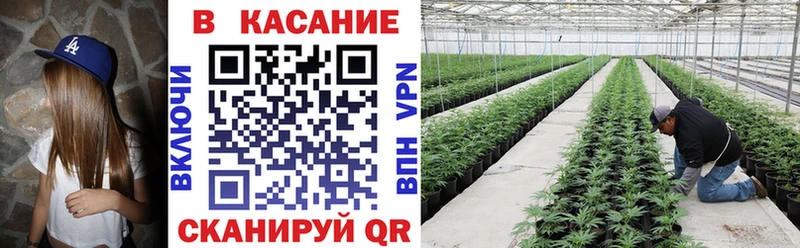 Наркотические вещества Щёкино АМФ СОЛЬ Гашиш МЕФ Галлюциногенные грибы mega зеркало COCAIN