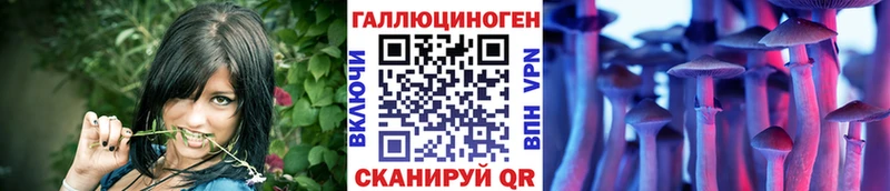 Псилоцибиновые грибы прущие грибы  Щёкино 