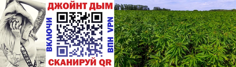 магазин    Щёкино  Конопля LSD WEED 